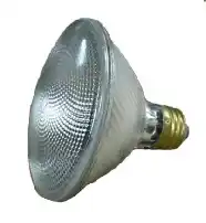 Halogen Flood Light